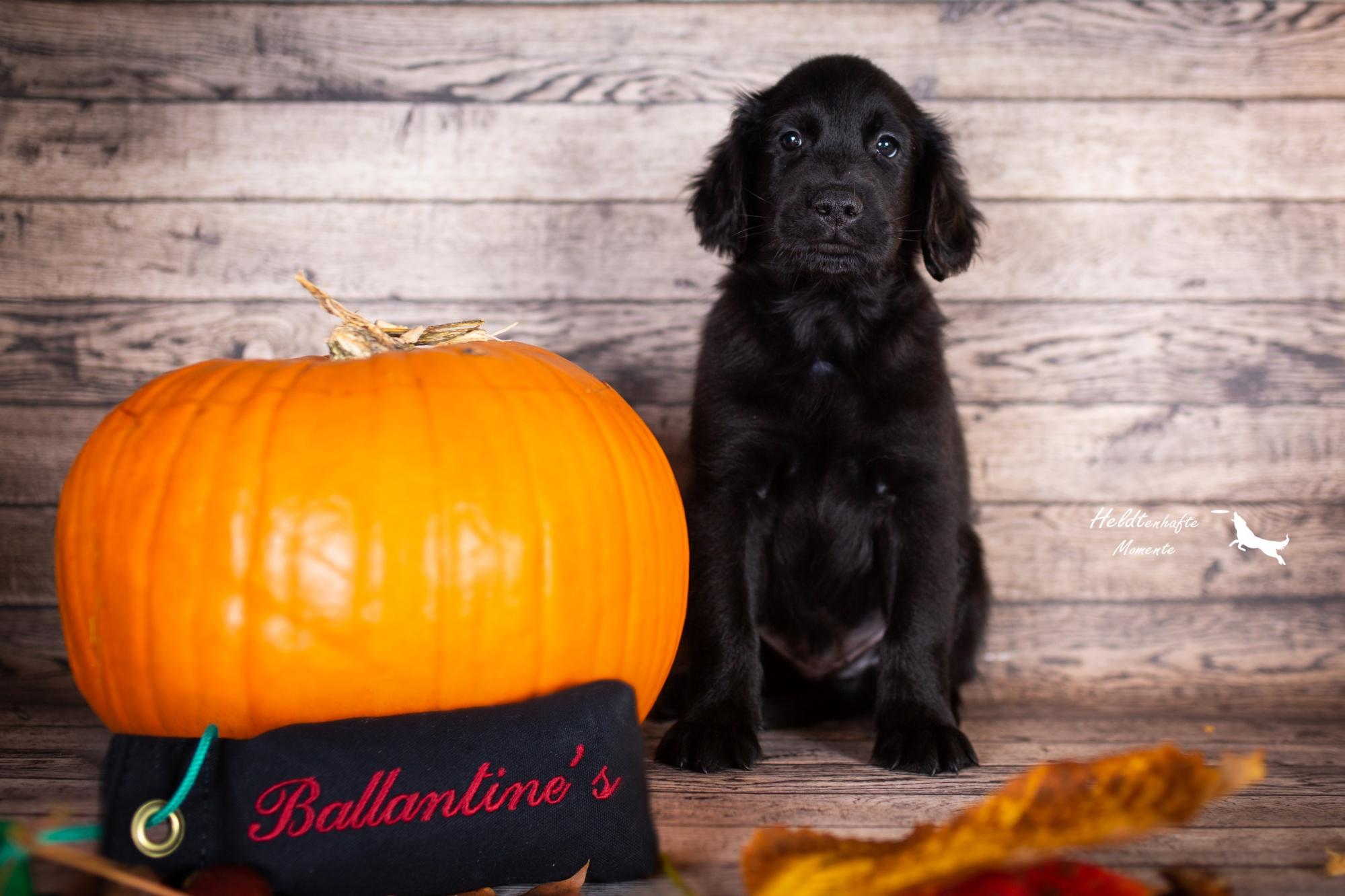 Ballantines