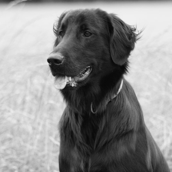 Yukon