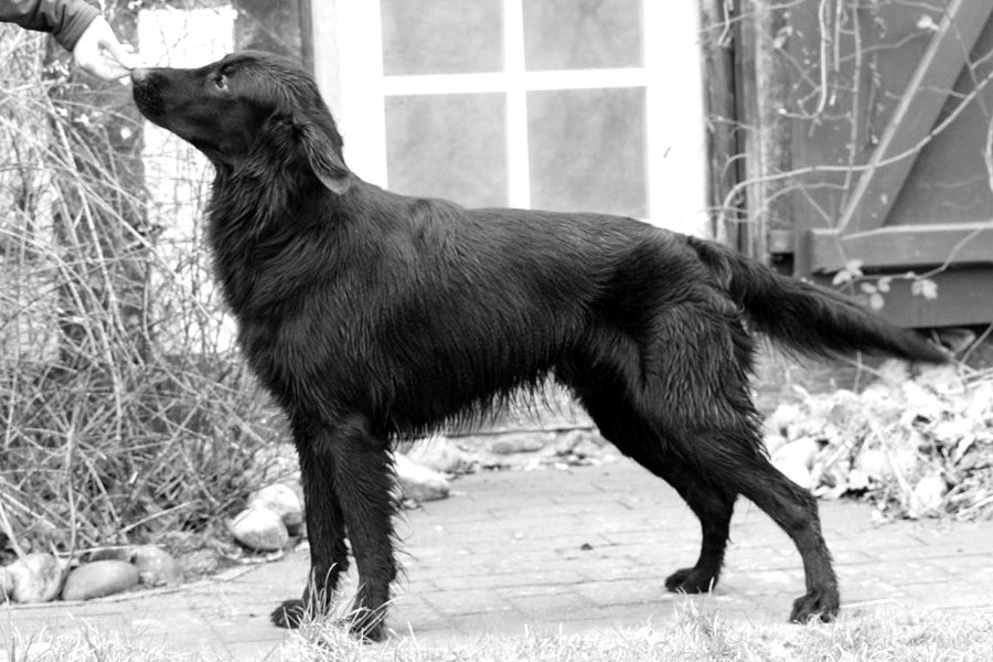 Yukon